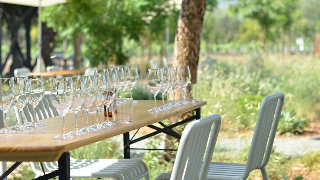 winery shot at the Leap Winery