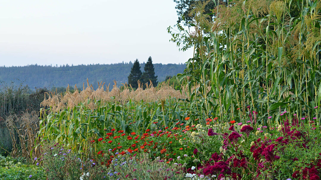 winery at the Leap Winery