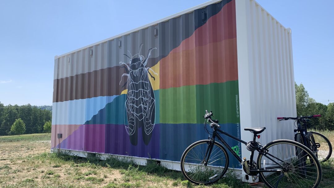Outside of the Up North Pride Catharsis Box Pop