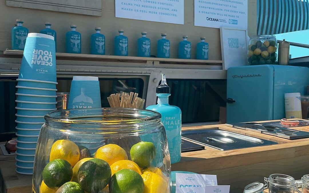 Gray Whale Gin VW Van Inside Bar | Custom Van Drink Stand